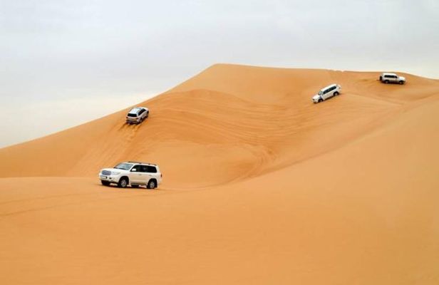 Morning Safari With Camel Ride