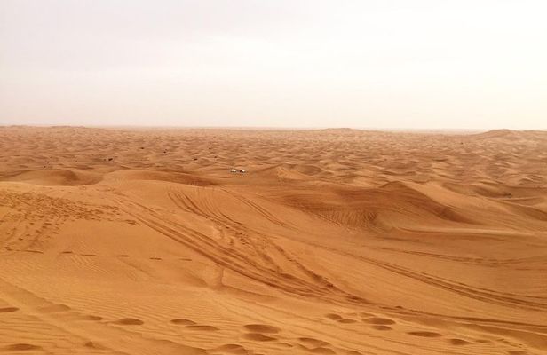 Dubai Morning Desert Small-Group Tour with Dune Bash