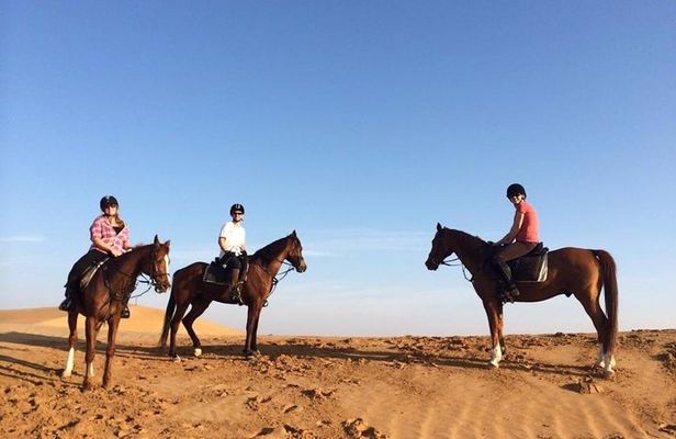 Desert Horse Riding In Dubai