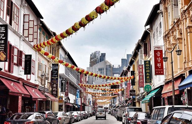 6 or 8 Hour Private Shore Excursion of Singapore by walk