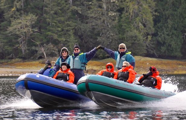 Small-Group Zodiac Wilderness Adventure from Ketchikan