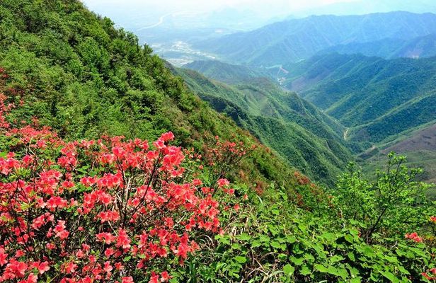 Private Tour: Yao Mountain and Tea Plantation from Guilin
