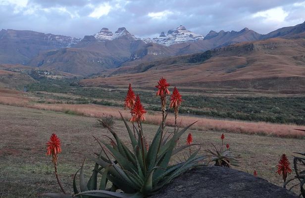 Drakensberg Mountain day Tour into Lesotho from Durban