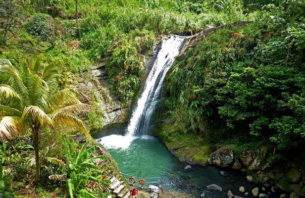 Full-Day Tour: Concord Waterfall, Chocolate Factory, Rum Distillery, Grand Etang