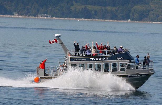 Victoria Whale Watching Cruise with Expert Naturalists