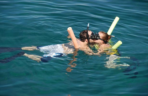 Glass Bottom Boat and Snorkeling Combo in Bermuda