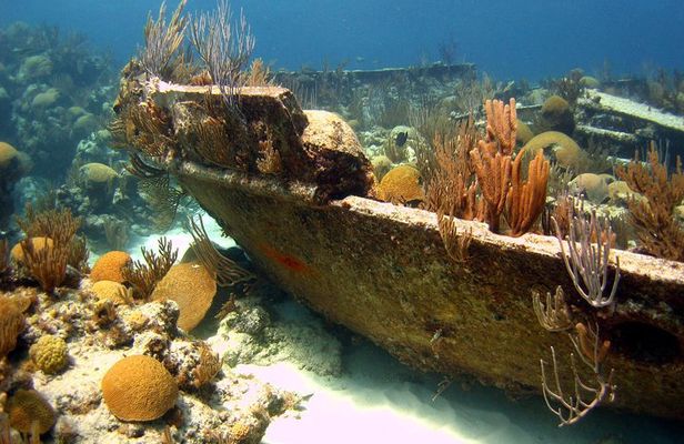 Shipwreck Snorkel in Bermuda
