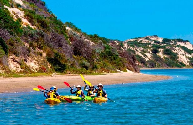 Full Day Kayaking Tour in Coorong National Park