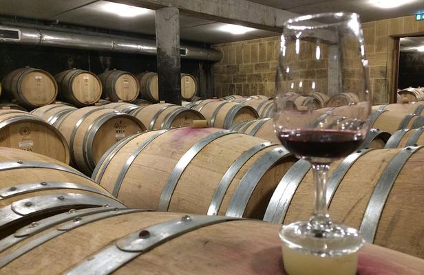 Cotes du Rhone Wine Tour (9:00 am to 5:15 pm) - Small Group Tour from Lyon