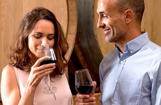 The Original Syrah Wine Tour (2:00 pm - 6:30 pm) - Small Group Tour from Lyon