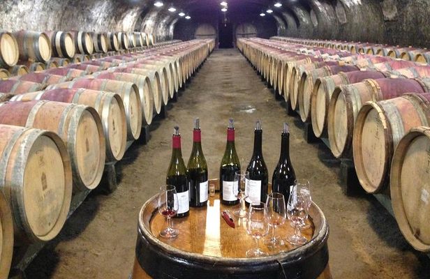 Beaujolais Crus Wines & Castles (2:00 pm - 6:30 pm) - Small Group Tour from Lyon