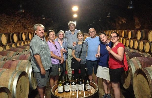 Beaujolais Crus Wines & Castles (9:00 am - 1:30 pm) - Small Group Tour from Lyon