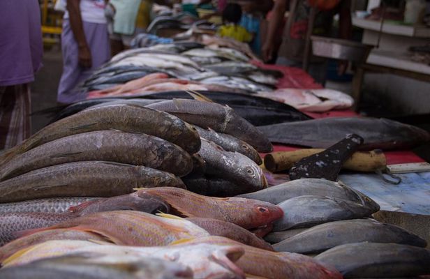 Cartagena Bazurto Market Tour: Authentic Local Flavor