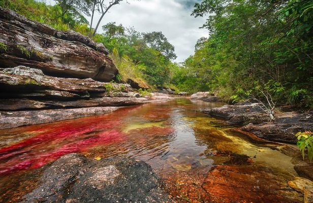 3-Day Trip to Caño Cristales from Bogota