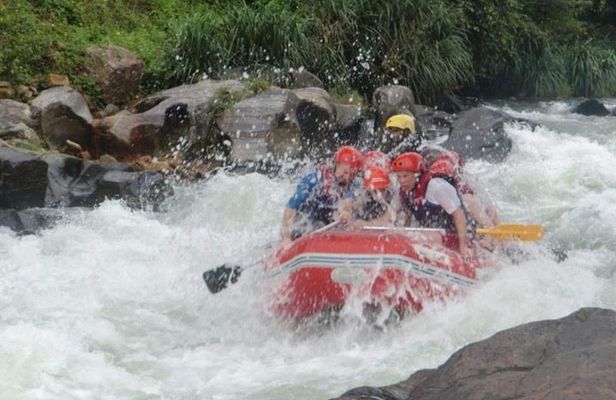 Private Tour From Ocho Rios to Rafting and Tubing