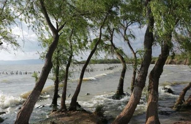 One day tour to eastern coast region of Daichi Lake