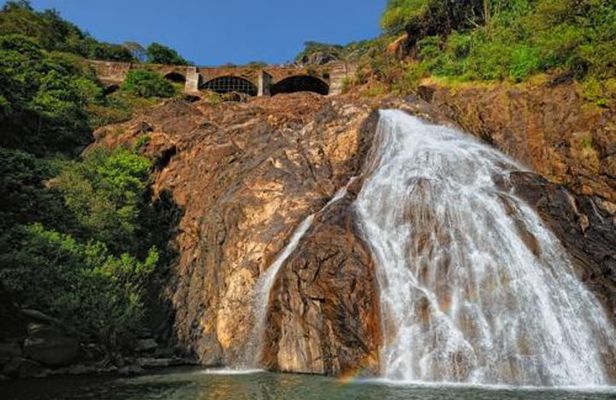 Day Trip to Mollem National Park Including Dudhsagar Falls and Jeep Safari from Goa