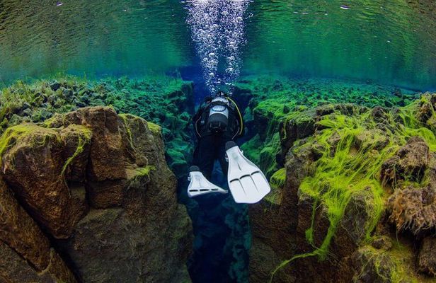 Dive the Divide: Silfra Fissure Scuba Tour | Reykjavik Pickup
