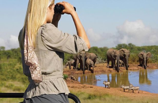 10 Day Cape & Garden Route Tour Combo with add-on accommodation