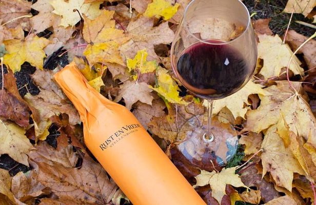 Stellenbosch Winelands Connoisseur Day Tour with Private Transfer