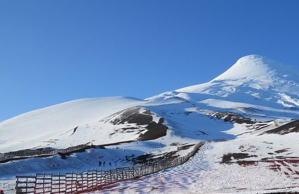 Private Tour: Puerto Montt, Puerto Varas and Vicente Peres Rosales National Park