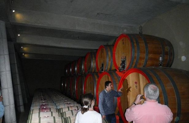 Private Wine Tour in Valparaiso