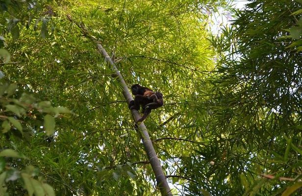 Private Tour: Fishermen and Pacoche Humid Forest Walking Tour