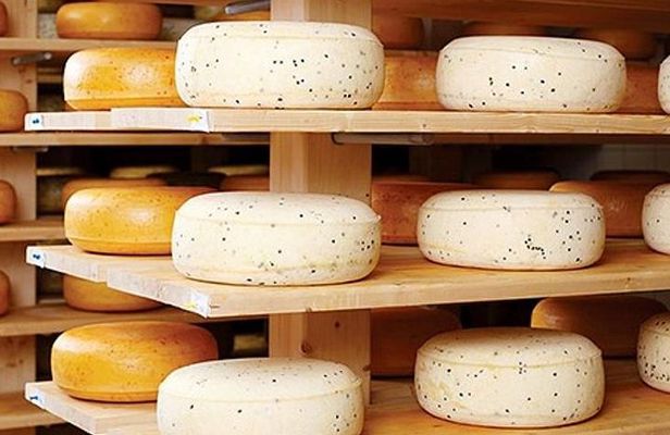Ensenada Shore Excursion: Wine and Cheese Tour with Lunch in Ojos Negros Valley
