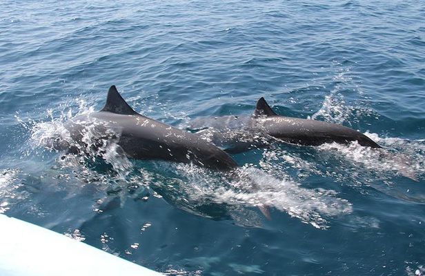 Huatulco Shore Excursion: Seven Bays Private Tour