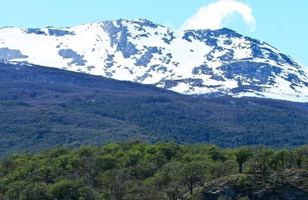 Ushuaia Shore Excursion: Private Tour of Tierra del Fuego National Park