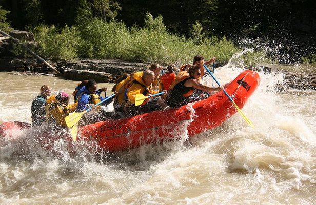 Whitewater Rafting Jackson Hole