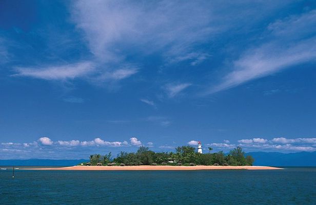Afternoon Low Isles Snorkelling & Sunset Sail from Port Douglas