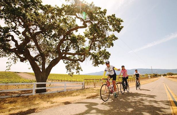 Wine Country Farm to Table Bike Tour w/Lunch