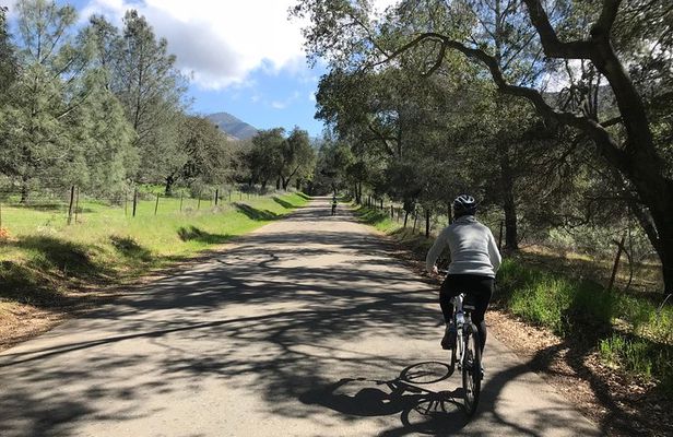 Wine Country Half-Day Bike Tour from Solvang - w/o Lunch