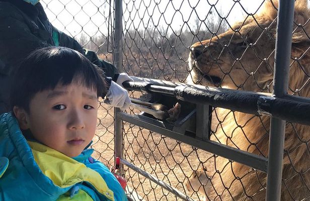 Private Full-Day Beijing Wildlife Park Tour
