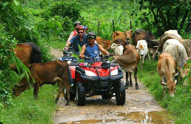 Half-Day Adventure 4x4 ATV, Water Cave and Dominican Culture