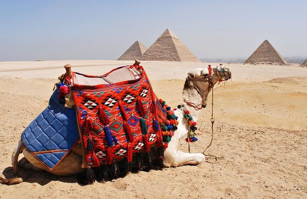 Giza Pyramids, Alabaster Mosque, Hanging Church Private Tour