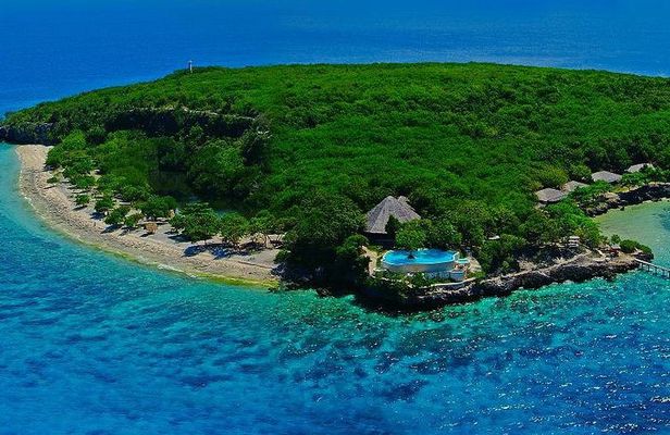 Oslob Whale Shark and Sumilon Day Tour
