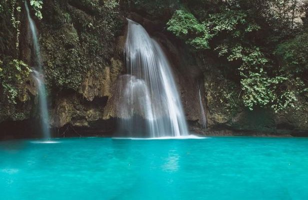 Moalboal Sardine Run and Kawasan Day Tour