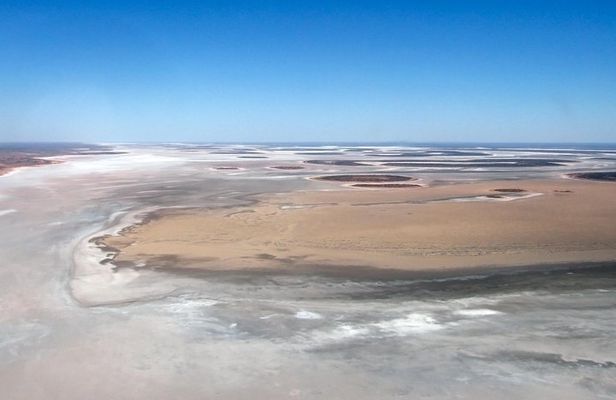 Scenic Plane Flight: Lizard Safari