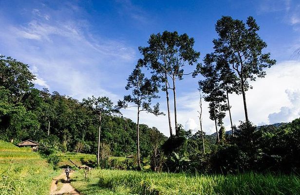 Rural Explorer Mountain Biking Tour Chiang Mai