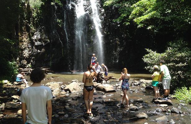 Private Tour: Tropical Rainforest and Waterfalls Day Trip from Cairns