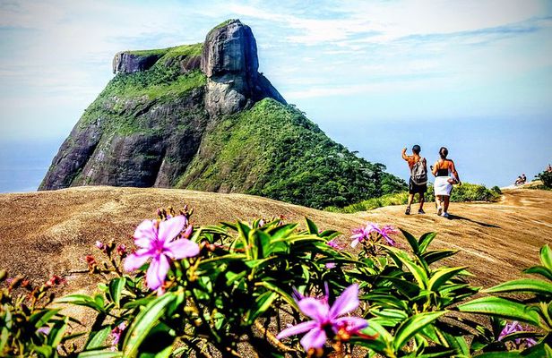 Tijuca Forest Half-Day Hike (Small Group or Private)