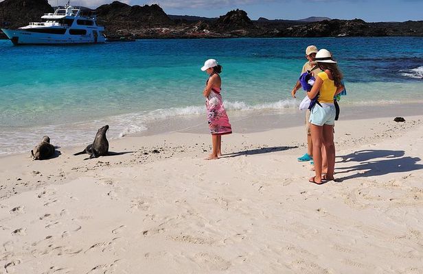 4-Day Galapagos Land Tour: San Cristobal and Santa Cruz Island