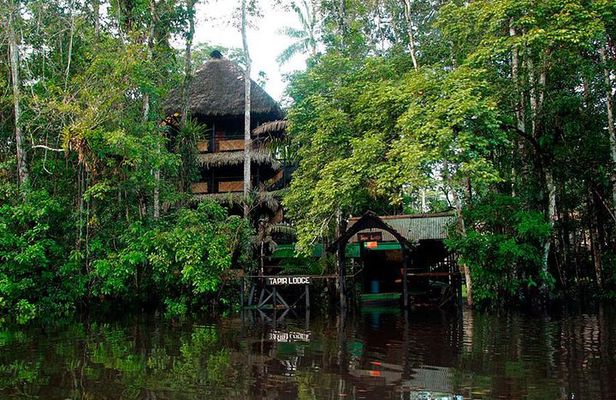 4-Day Ecuador Amazon Jungle Tour - Lodge in Cuyabeno Reserve