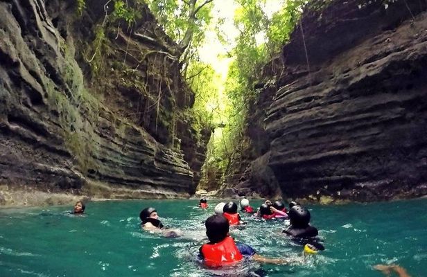 Cebu Whale Shark Interaction, Moalboal Sea Turtles, Sardines Run & Canyoneering