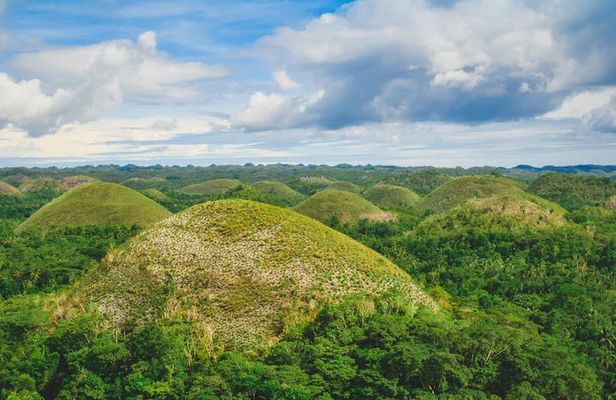 Day Swing to Bohol