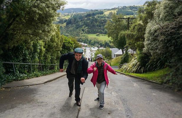 Iconic Shore Excursion: Dunedin City Highlights Tour