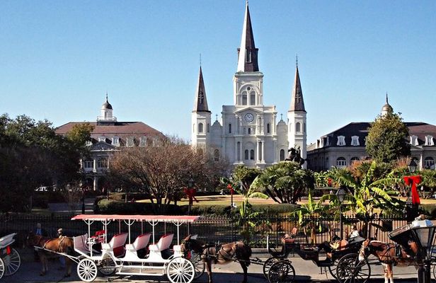 Private French Quarter Walking and City Surrounding Neighborhoods Driving Tour