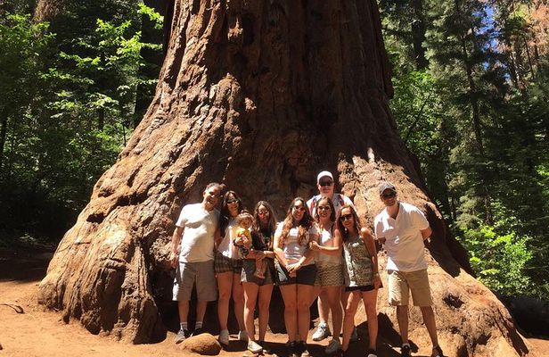 Off-Road Giant Sequoia 4x4 Tour
